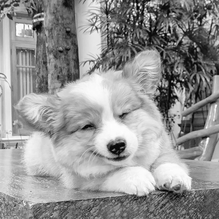 10/10 siyah beyaz (@ononsiyahbeyaz) on Twitter photo 