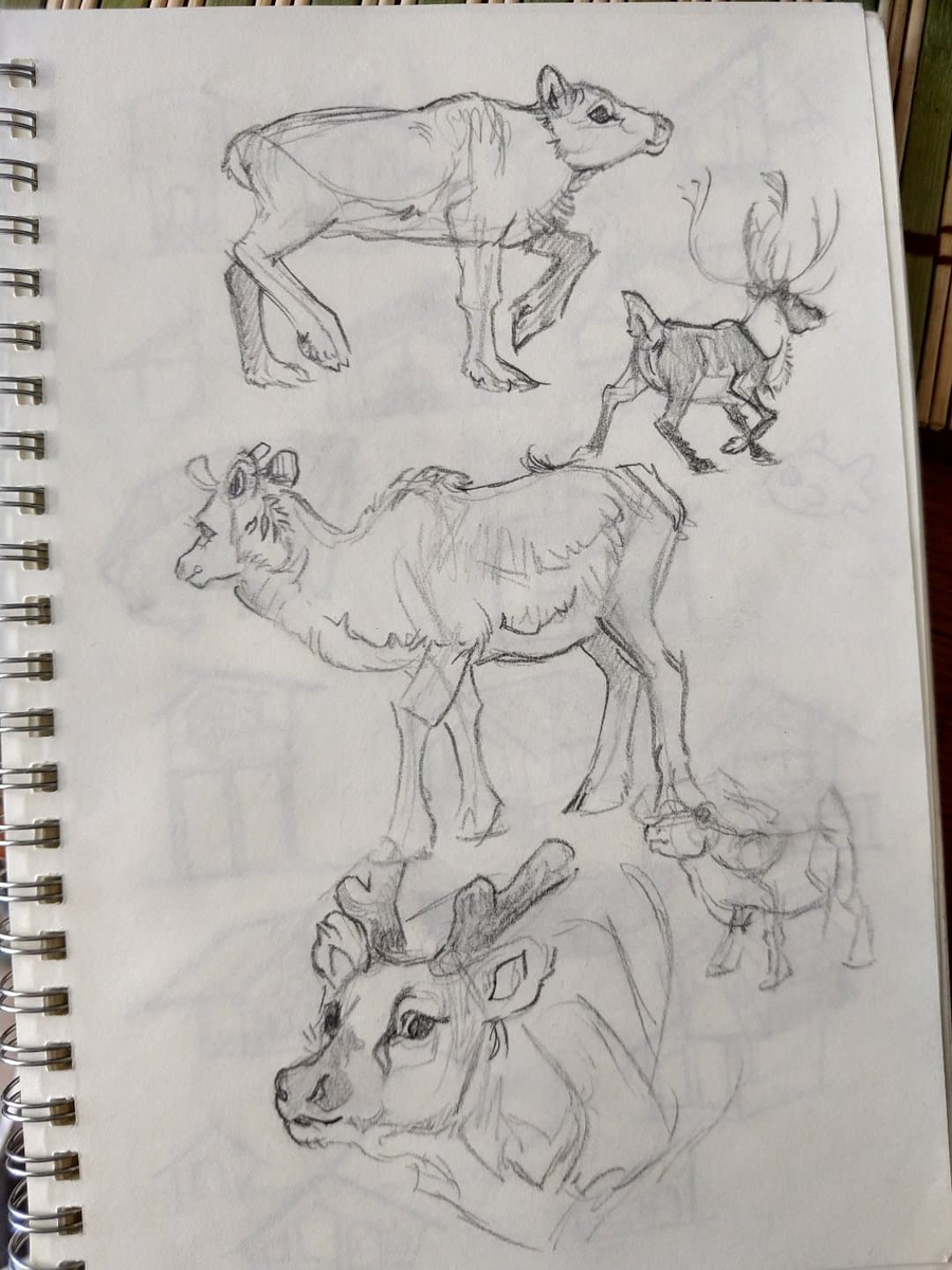 @TheWildlifeKid Quisiera ofrecer mis servicios como donación para la causa. >__>

Mi portafolio esta lleno de fantasía e ilustrativo porque es lo que me gusta dibujar, pero me meto de lleno a estudiar anatomía, comportamiento etc. (Que casi no posteo en twitter)
https://t.co/grjD7IMJnx 