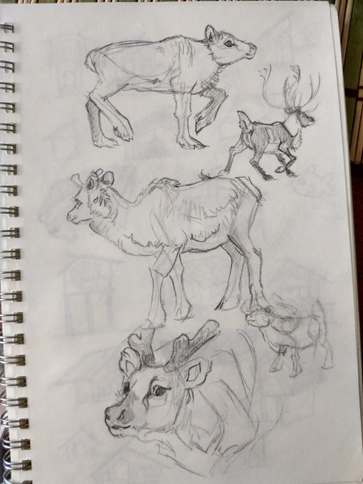 @TheWildlifeKid Quisiera ofrecer mis servicios como donación para la causa. >__>

Mi portafolio esta lleno de fantasía e ilustrativo porque es lo que me gusta dibujar, pero me meto de lleno a estudiar anatomía, comportamiento etc. (Que casi no posteo en twitter)
https://t.co/grjD7IMJnx 