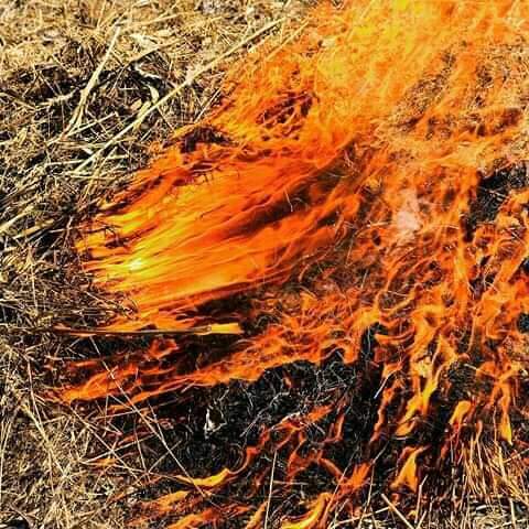 JayMilanzi's tweet photo. @slapdee is On 🔥 #Xyz 👑 👑 https://t.co/nDFjDFoFCf