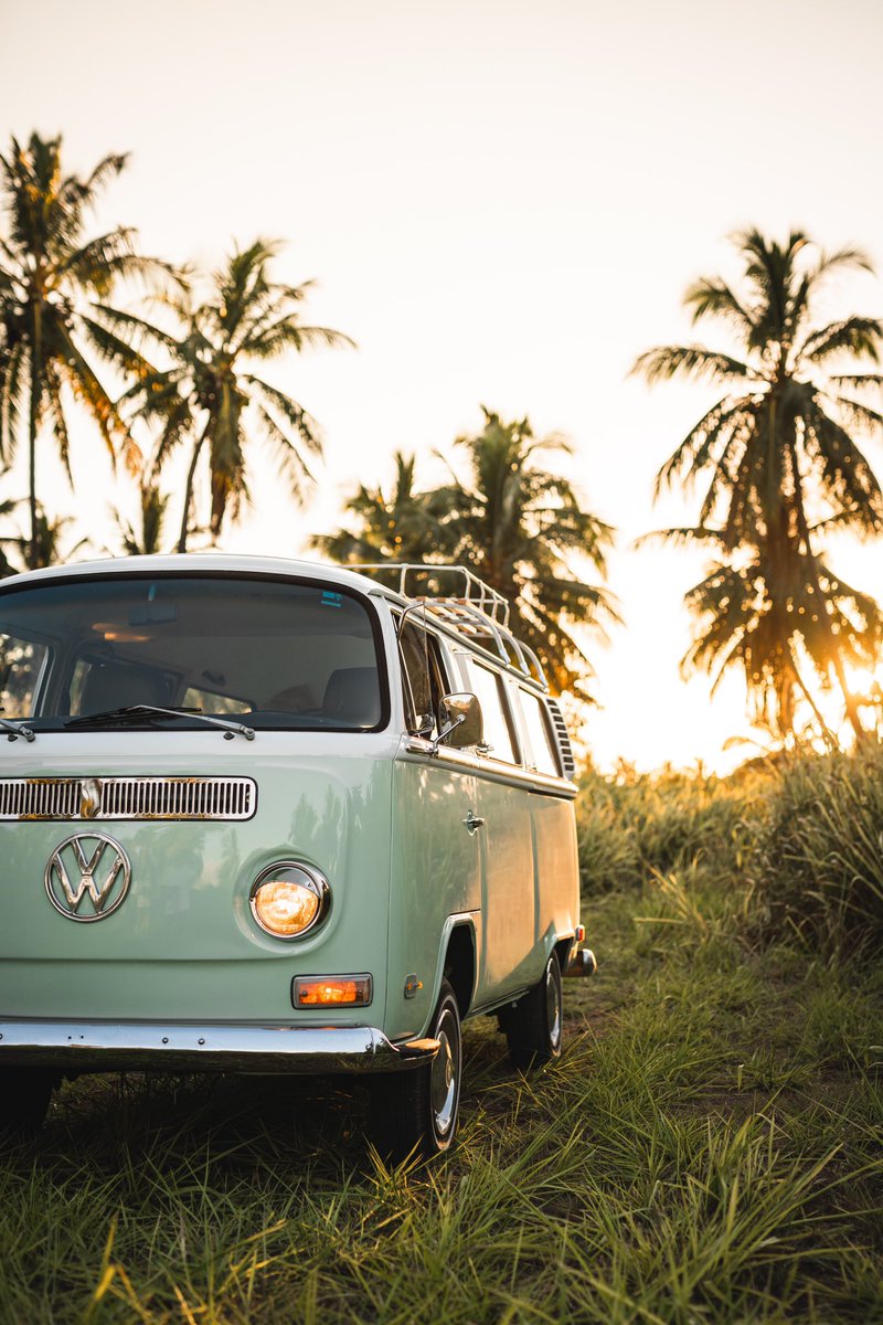 Matty Leong tweet media