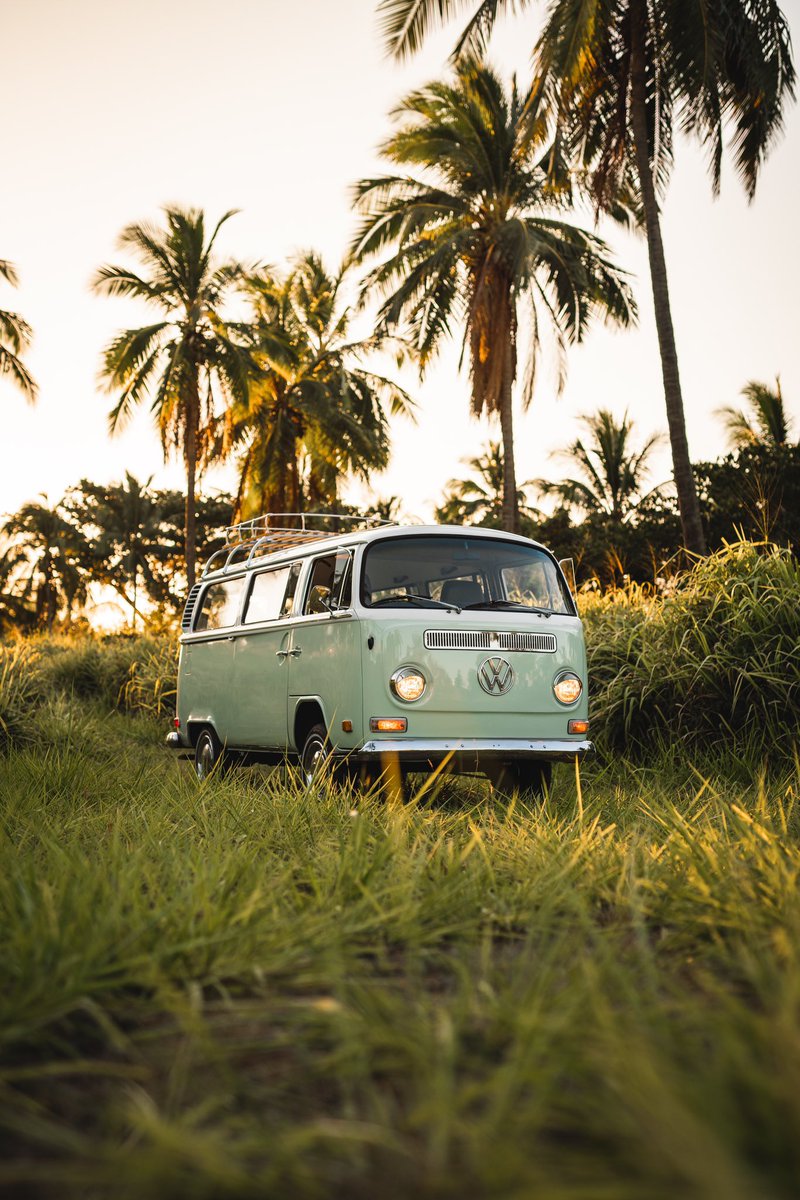 Matty Leong tweet media