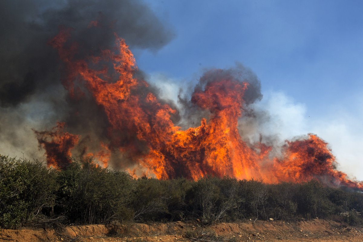 ABC7's tweet photo. #APPLEFIRE UPDATE: Blaze explodes to over 20,500 acres; San Bernardino National Forest officials say fire is 0% contained https://t.co/g12B5XUK45 https://t.co/gPTLvbdLqL