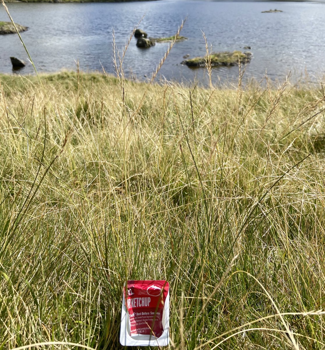 Please dispose of your rubbish properly. At Stickle Tarn I came across a McDonald’s dip. I’m not saying someone walked 20 miles from the nearest branch with a Big Mac, but if it was binned properly it wouldn’t have got there! #savetheplanet #beresponsible <a href="/McDonaldsUK/">McDonald's UK</a>
