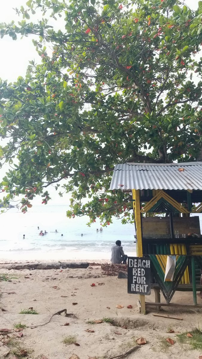 teejayhrc's tweet photo. Home 🌊🌴 https://t.co/JF6K1qaJde