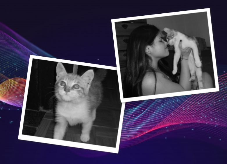 KAR_Tangerine tweet media