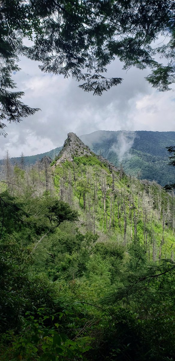 I climbed this bad boy today #chimneytops #smokeymountains