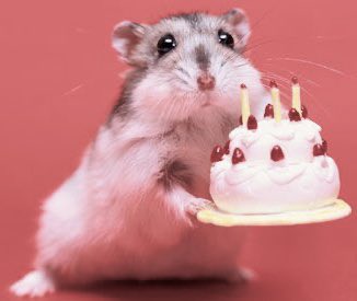 🐹