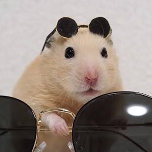 bright vachirawit as hamsters; a very necessary thread  #bbrightvc