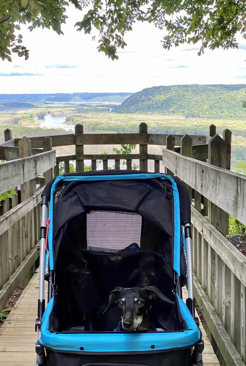 Staying 2 days at Pikes Peak State Park in NE Iowa at confluence of MS & WI Rivers. Very beautiful flyover country. No masks anywhere here. Fresh air and nature, perfect anecdote to the China Virus. Pics: Barney&Dad+River 