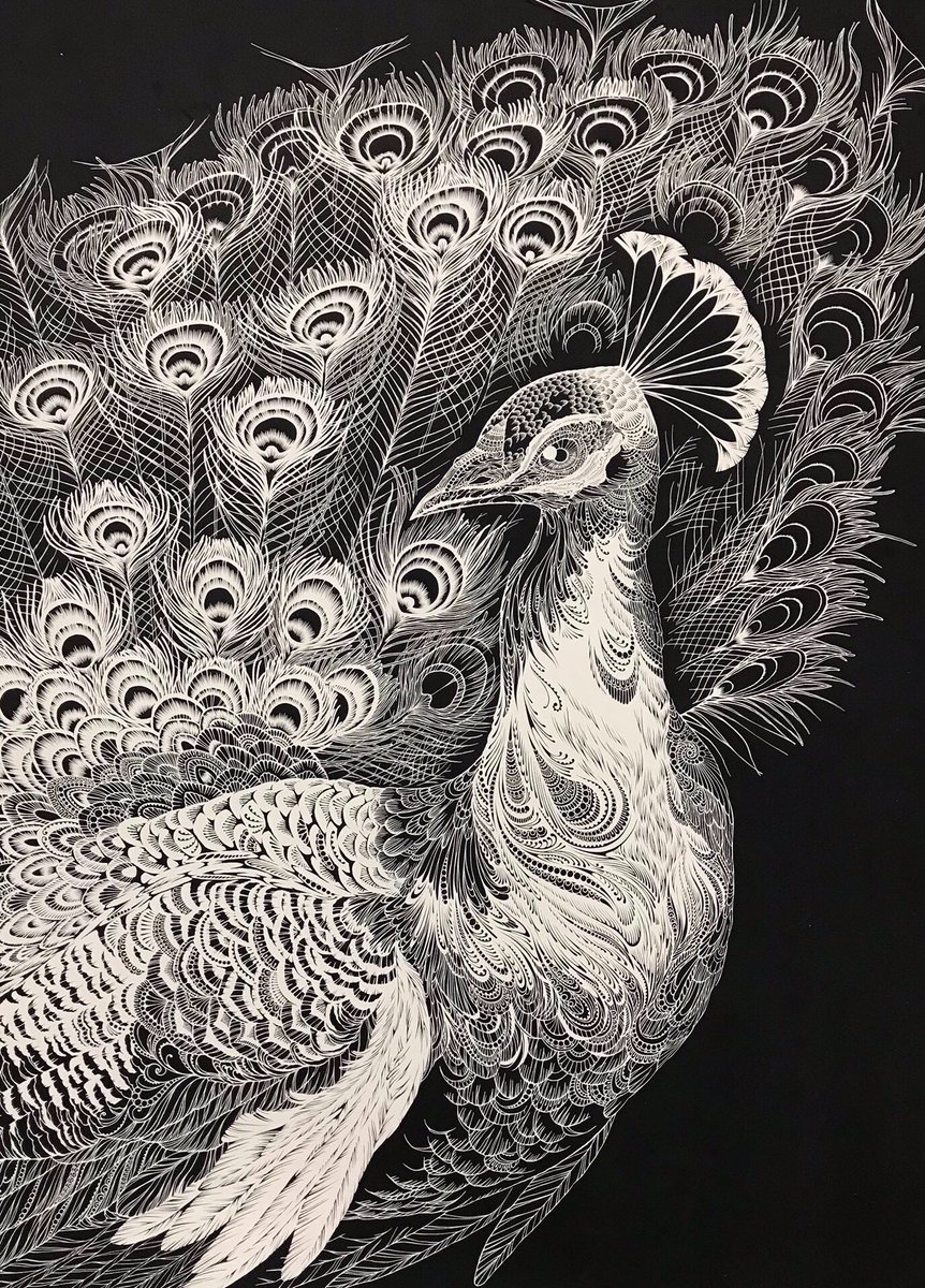 実はクジャクは3枚切ってます。
#切り絵 