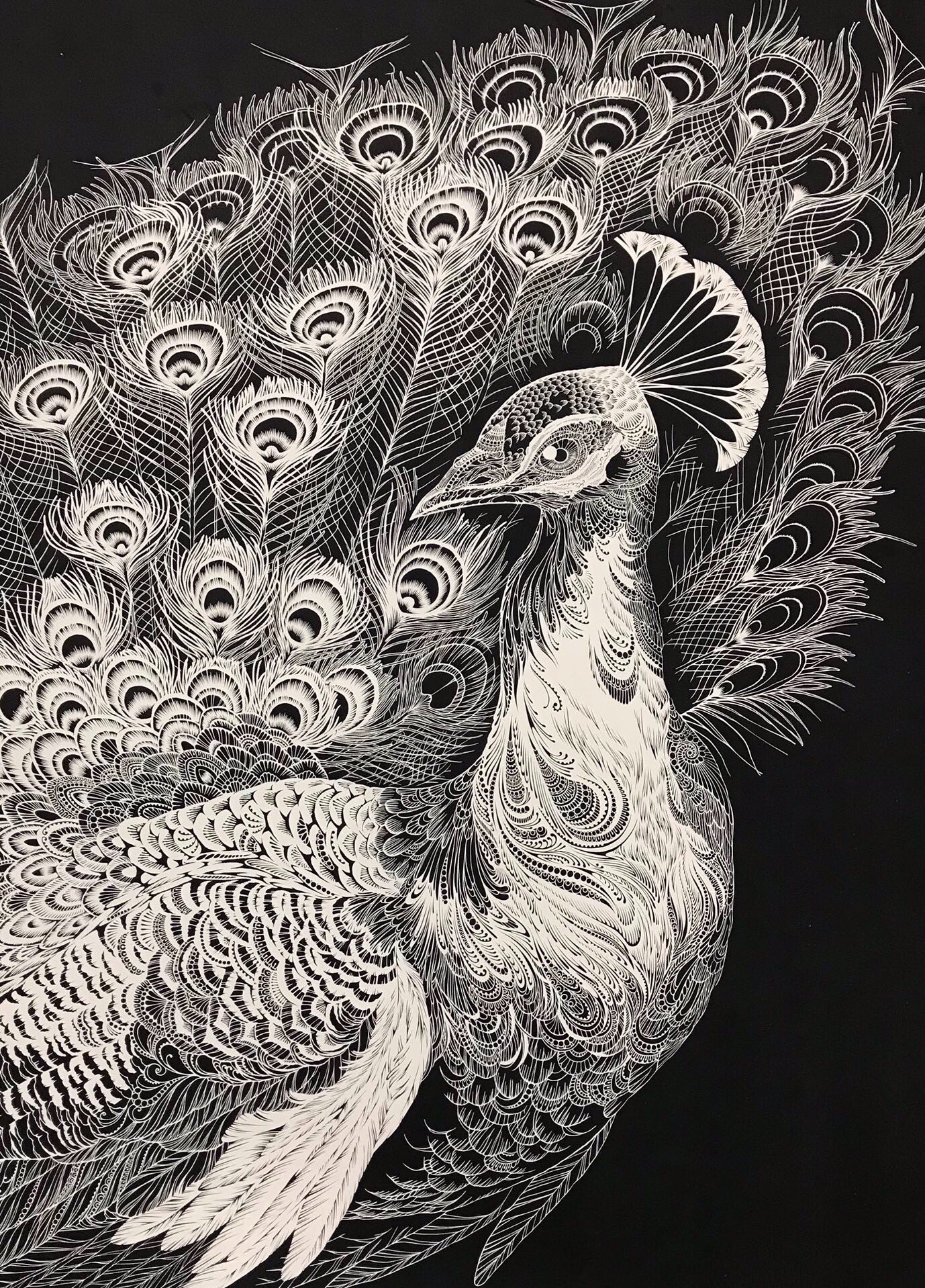 切り剣 福田理代 初作品集発売中 実はクジャクは3枚切ってます 切り絵 T Co Kwp7lsywug Twitter