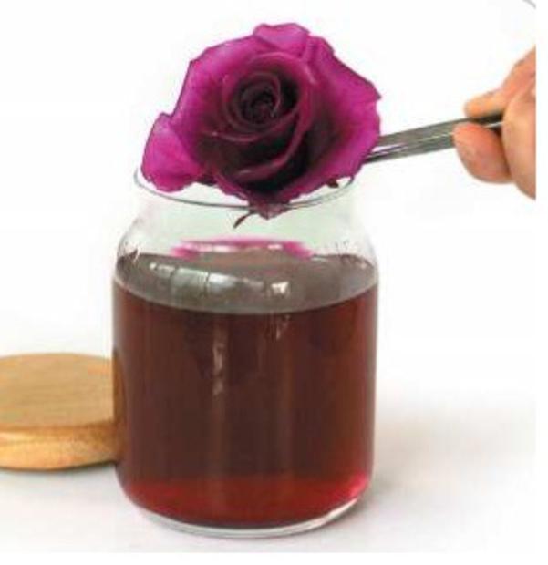 Jorge Rivera tweet media