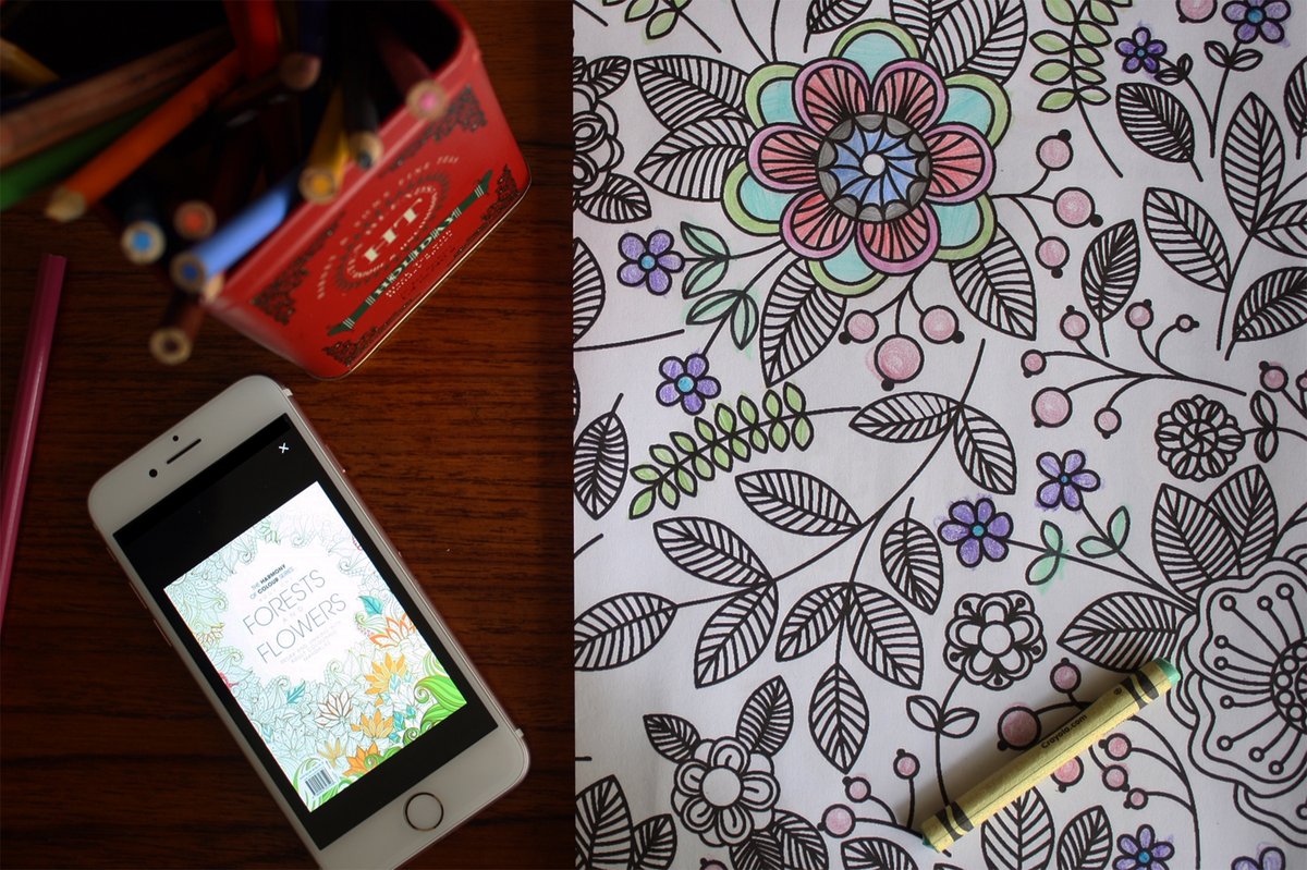 Spend some time colouring with your friends, children or grandchildren or by yourself. Enjoy the creativity of making a picture come to life!
No matter how you plan on getting involved, you can download free coloring pages from RBdigital ow.ly/Aczf50AMKyn

#ColouringBookDay