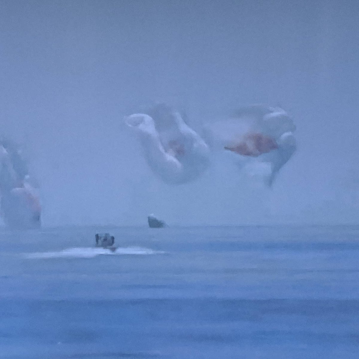 juliecmurphy's tweet photo. Welcome home Doug and Bob!  What a great day watching you make history.  #DragonEndeavour #SpaceX 👨‍🚀👨‍🚀🌎🛸 https://t.co/wCh5x1T5Sj