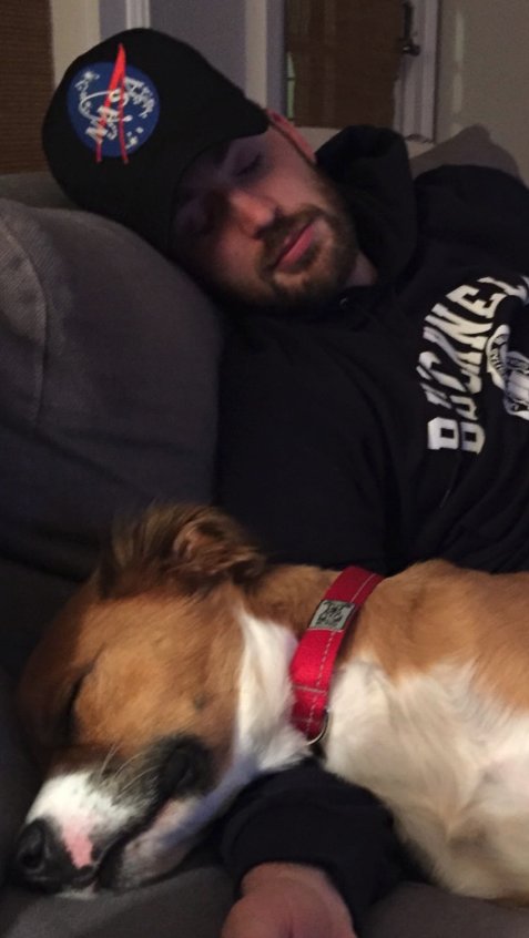 Chris Evans with dogs (and two cats): a very neccessary thread