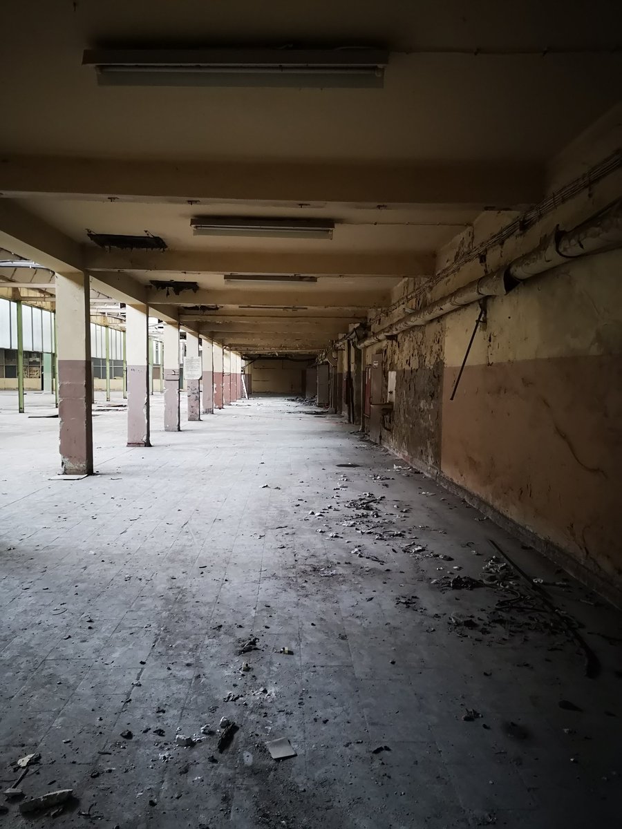 westwolfaudio's tweet photo. Scouting new places for field recording (room tones from abandoned factory) new library. Now I have to choose the right microphones ;) cheers
#sounddesign #sounddesigner #fieldrecording #westwolfaudio #sfxlibrary #audiopost #gameaudio #filmpost #soundeffects #roomtone https://t.co/jXfu18Uoxb