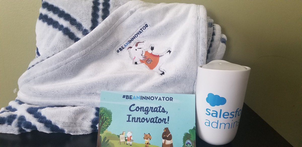 Thanks <a href="/SalesforceAdmns/">Salesforce Admins</a>, I got my prize pack for the #BeAnInnovator #Sweepstakes challenge. I love them.