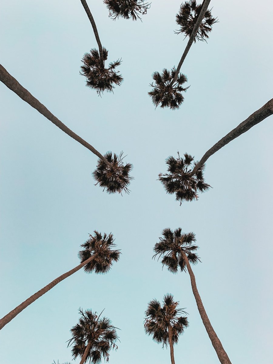 pelviva's tweet photo. SIZE MATTERS : Pelviva is the best size to work really well with your #PelvicFloor muscles. It is also very light and is very comfortable to wear. 

To get super into the details, the dimensions of #Pelviva are:

Length: 5.7 cms
Width: 3.3 cms
Depth: 2.95 cms https://t.co/jC7YXPQ8S6