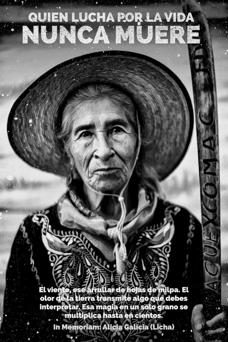 barlovento_e's tweet photo. #ChallengeNotAccepted * (#ChallengeAccepted)
"El revolucionario más grande está guiado por el amor de su familia"
Alicia Galicia Limas
(Frente de Pueblos en Defensa de la Tierra de San Salvador Atenco)
*No entiendo cómo empodera a las mujeres publicar una foto propia en blanco y https://t.co/LpZPJ4U6y9