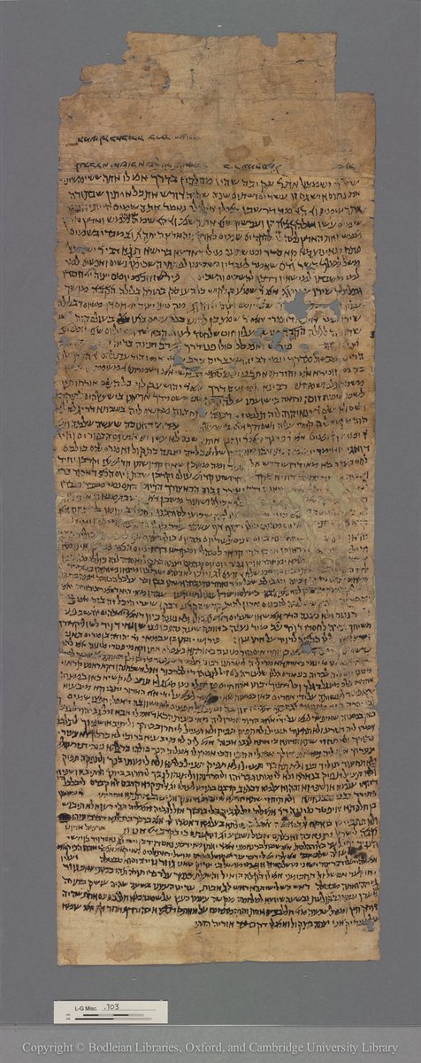 For your  #fragmentfriday (tho’ I‘m vaguely aware it’s Sunday): a long vertical scroll (rotulus) from the  #cairogeniza with an equally long social history. A winding thread: I’ll tell the story backwards, pts. 1-7 are modern, pts. 8-23 medieval: