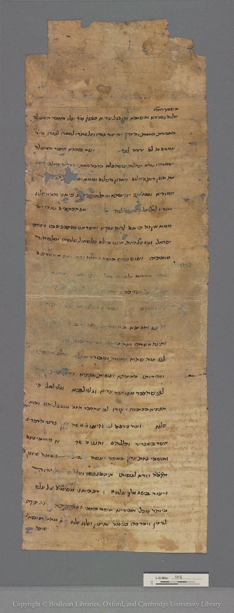 For your  #fragmentfriday (tho’ I‘m vaguely aware it’s Sunday): a long vertical scroll (rotulus) from the  #cairogeniza with an equally long social history. A winding thread: I’ll tell the story backwards, pts. 1-7 are modern, pts. 8-23 medieval: