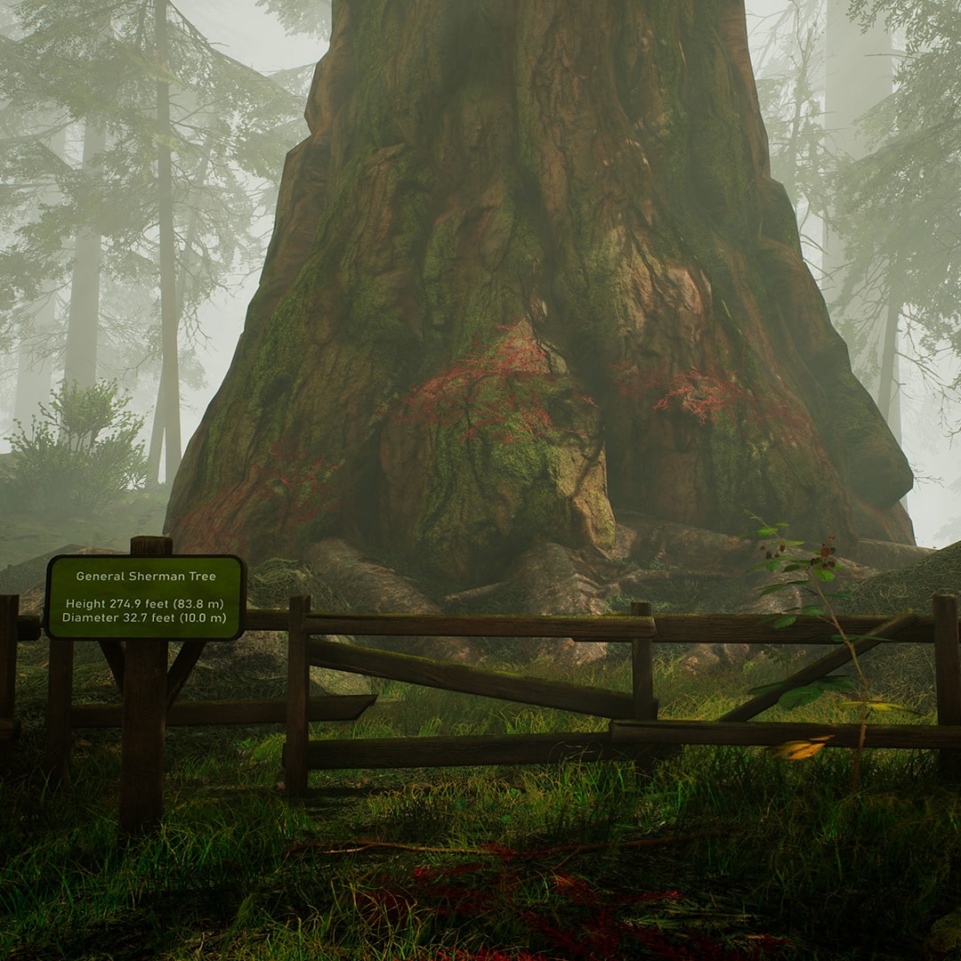 BIGFOOT_game's tweet photo. BIGFOOT maps have some giant trees (more than 50 m!). Imagine you walking around a huge forest.

#gamedev #bigfoot #indiegames #playtime https://t.co/BtQfzwC3px