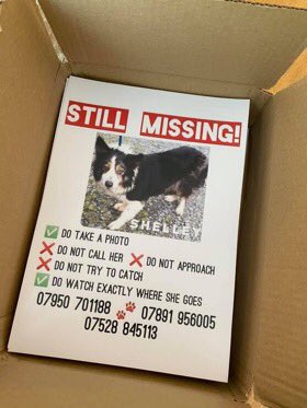 colliesontherun's tweet photo. #findShelley
HAVE YOU SEEN SHELLEY❓
IF SHES NOT BEEN FOUND BY SOMEONE....she will now be in #survivalmode SHE COULD BE ANYWHERE IN AREAS AROUND #MuchHadham #PerryGreen / #GreenTye ⁉️EAST #Herts
https://t.co/Os0pij68gS
@weewilsonkom @LindaFu73078079 @psychicpenny @gelert01 https://t.co/ltCz4l7FHs