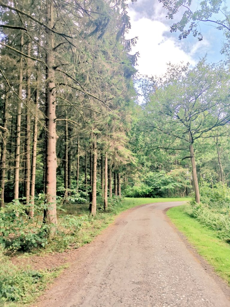 [AD] See how we got on at <a href="/CampHillEstate/">The Camp Hill Estate</a> for our STAYCATION glamping weekend!

 instagram.com/p/CDZg7BzHMb_/…