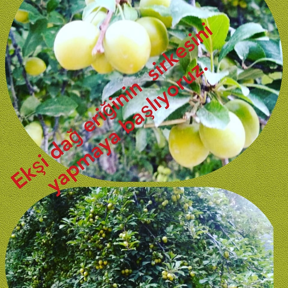 Doğal ve Kaliteli olan herşey..