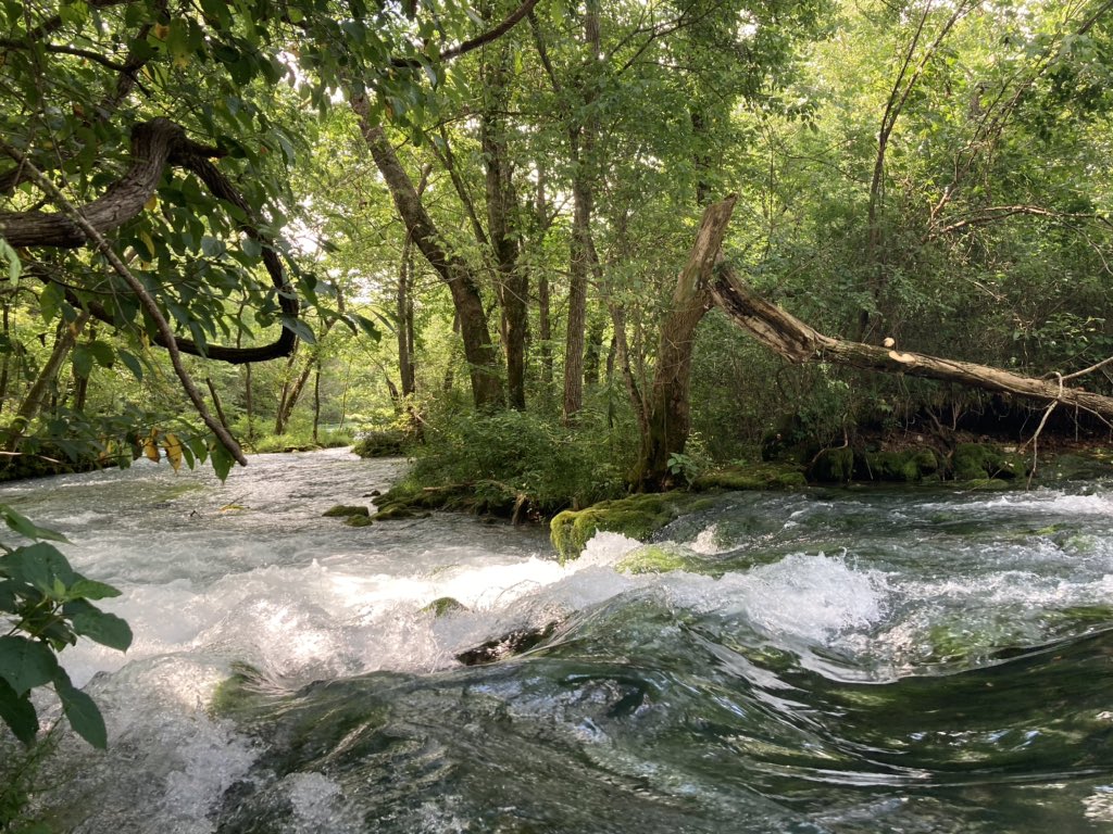 NoahSabich's tweet photo. For someone in awe of water, Alley Spring made me shake my head in astonishment at the beauty. If ever I could recreate a home near water, it would be this exact scene. #Water #SDG6 #OzarkMountains #Missouri #Springs #Midwest #AlleySpring https://t.co/O90LgCLnay