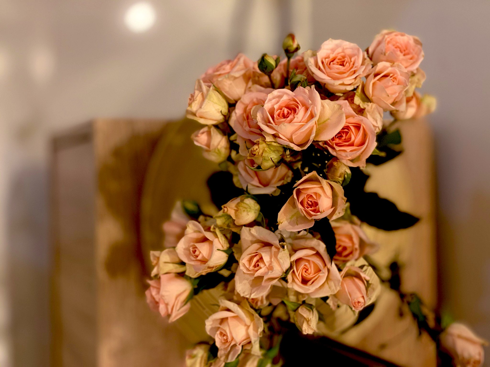 ���� ���� ������ �� ���� ������