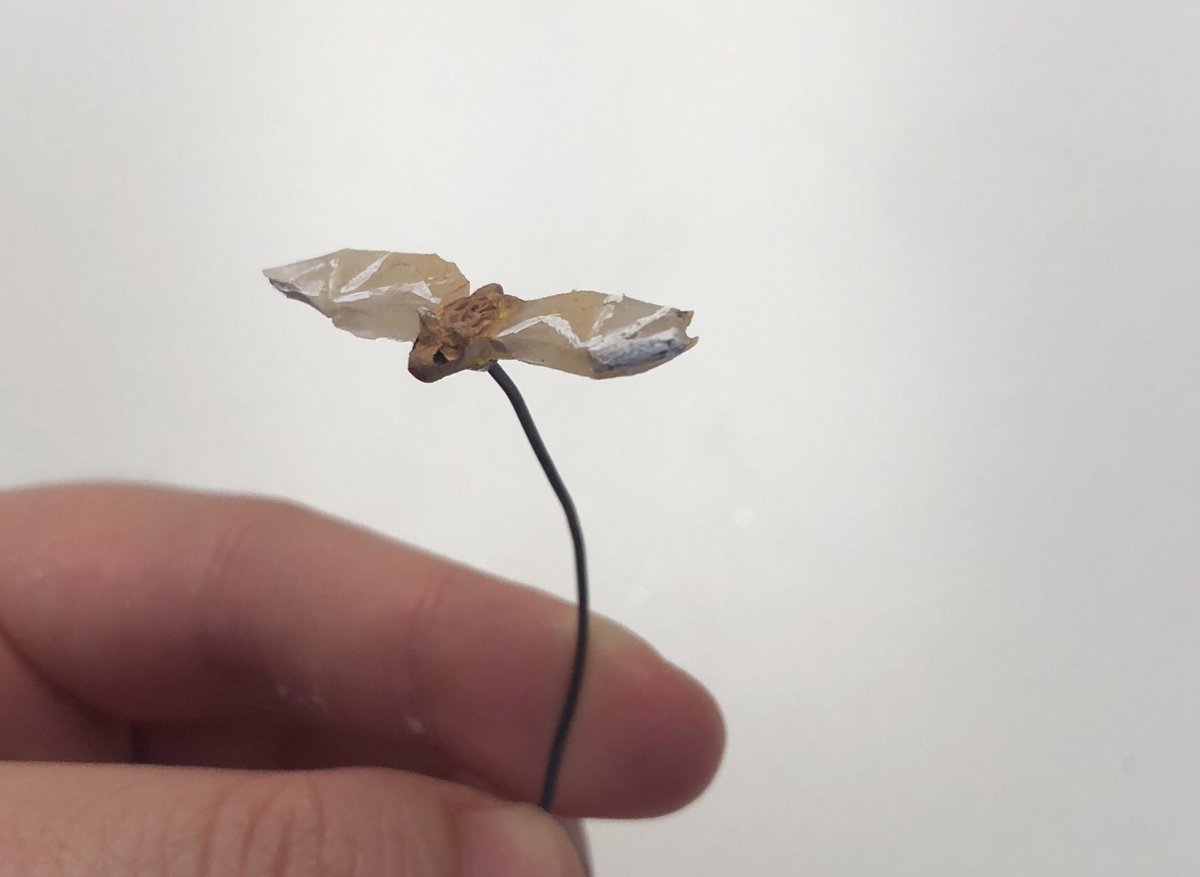 cloudycharm's tweet photo. making dnd mini stuff for my sisters friend ! https://t.co/HGjfFMokyj