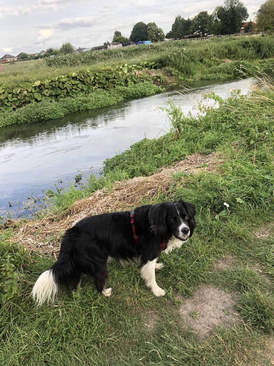 louswaiting's tweet photo. Day in the allotment followed by a walk along the river. #AHPsActive #Acshccactive #WeActiveChallenge https://t.co/aFr5inO7hL