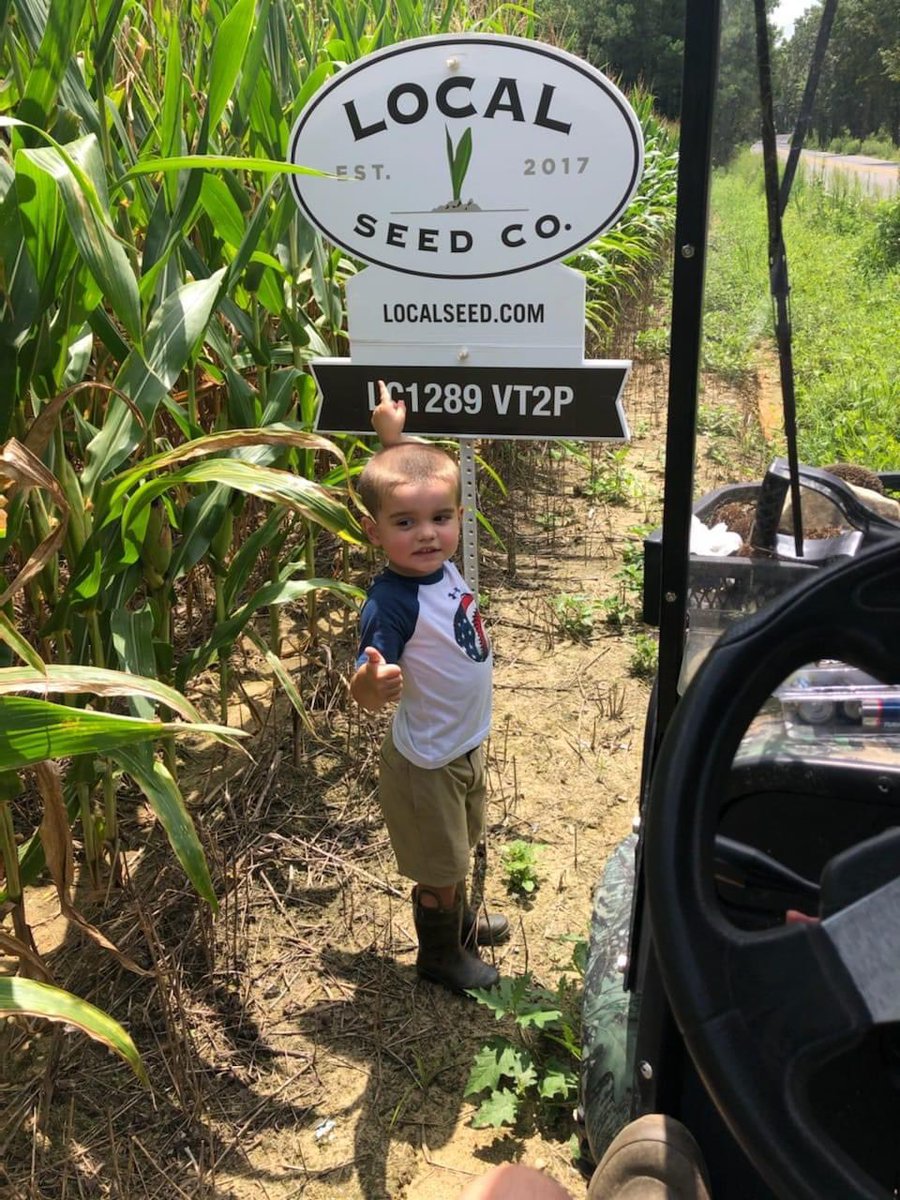 RevereSeed's tweet photo. 3yr old Rolyn Lobur pointing out how good the Local Seed corn is doing this morning with a thumbs up. Thanks for the photo David Lobur!
#localseedco 👍🌽
#plantlocal #livelocal #localseedkids #nextgenerationfarmer https://t.co/3eCE7WAk4d