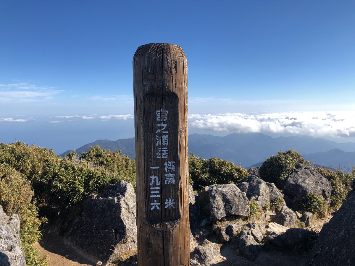 くるん tweet media