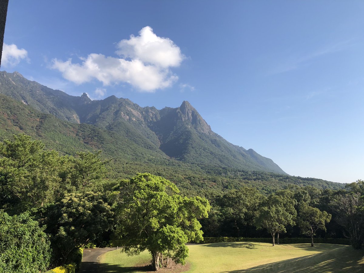 くるん tweet media