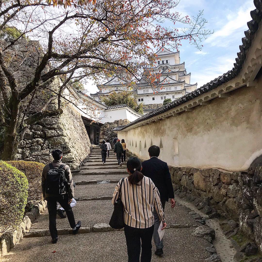 Day 118: can’t believe how long since I posted a photo of Himeji Castle. Must be like a whole week! One of the many entrances here: the path to the actual castle zig-zags & there are many passages & doors to confuse potential attackers  #HimejiCastle  #Osaka  #Japan – bei  姫路城 (Himeji Castle)