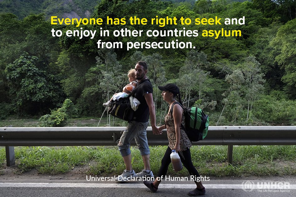 Refugees's tweet photo. Seeking asylum is a fundamental human right for people fleeing violence, persecution, war or disaster at home. https://t.co/2bY5YT1no8