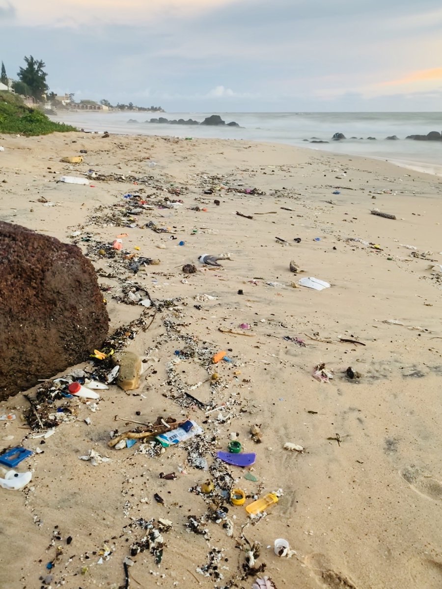 msahili83's tweet photo. Nous avons grandi sur ces plages, et voici ce que nous laissons à nos enfants, un désastre.. #pollution #environnement #plasticpollution https://t.co/nelKe0yW4Y