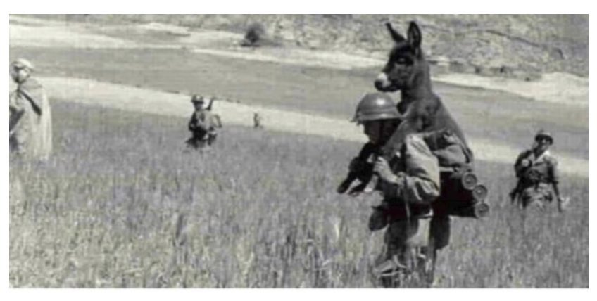 velican57's tweet photo. Bu asker eşeği sırtında taşıyor.
Bunu eşeği çok sevdiği için değil yürüdükleri bölgenin mayınla dolu olduğu için yapıyor.Eğer bunu yapmazsa eşek serbestce gezecek ve herkesi havaya uçuracak.

Maskesiz gezen eşeklerinizi kontrol altında tutun, durum gene kötüleşiyor.
#Covid_19 https://t.co/0CKdt5G8Ai