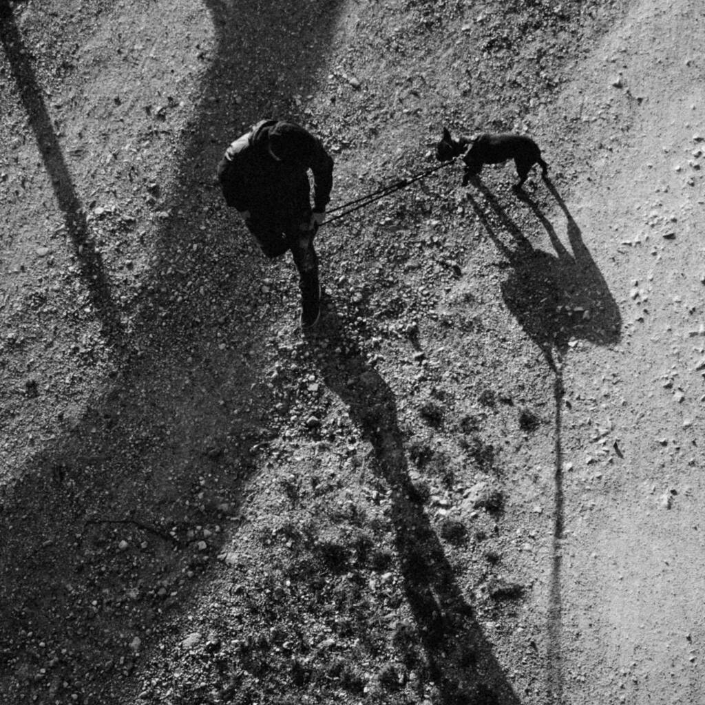 Long shadows—
.
.
.
.
.
#capturestreets #artofart #peraphotogallery #rayoflight #blackandwhite #streetphotographer #soulofstreet #zonestreet #35mmstreetphotography #life #contemporaryart #friendsinstreets #streets_storytelling #lightandshadow #lenscultur… instagr.am/p/CDZoYFOJtmA/