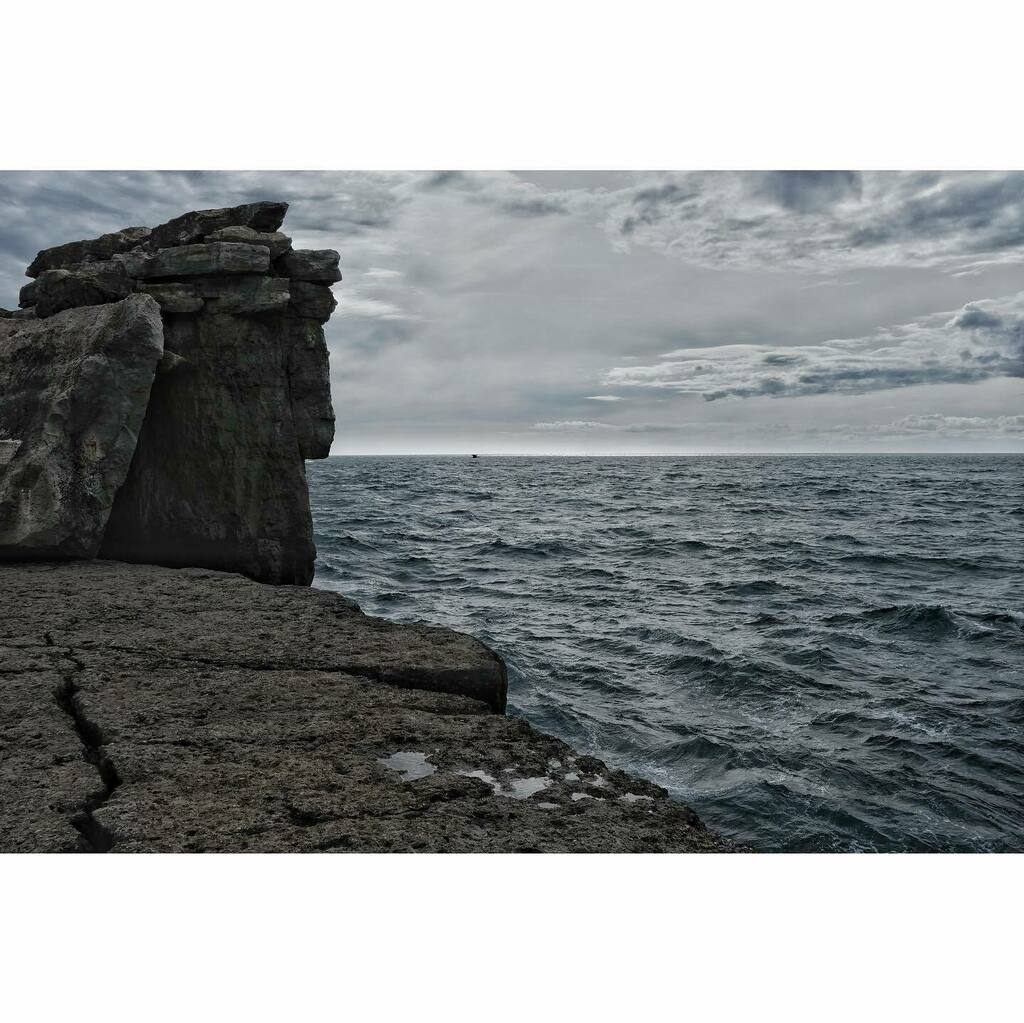 Michael Cockerham tweet media