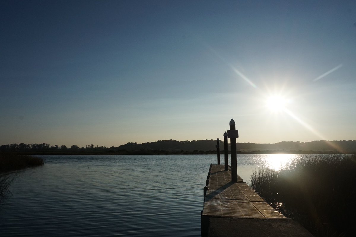 selunaphoto's tweet photo. At the docks 

#naturephotography #livephotography #waterphotography  #napa #kennedypark #photography #photo #seluna #perez #selunaphotography #selunaphoto https://t.co/9ryf6WoTOu