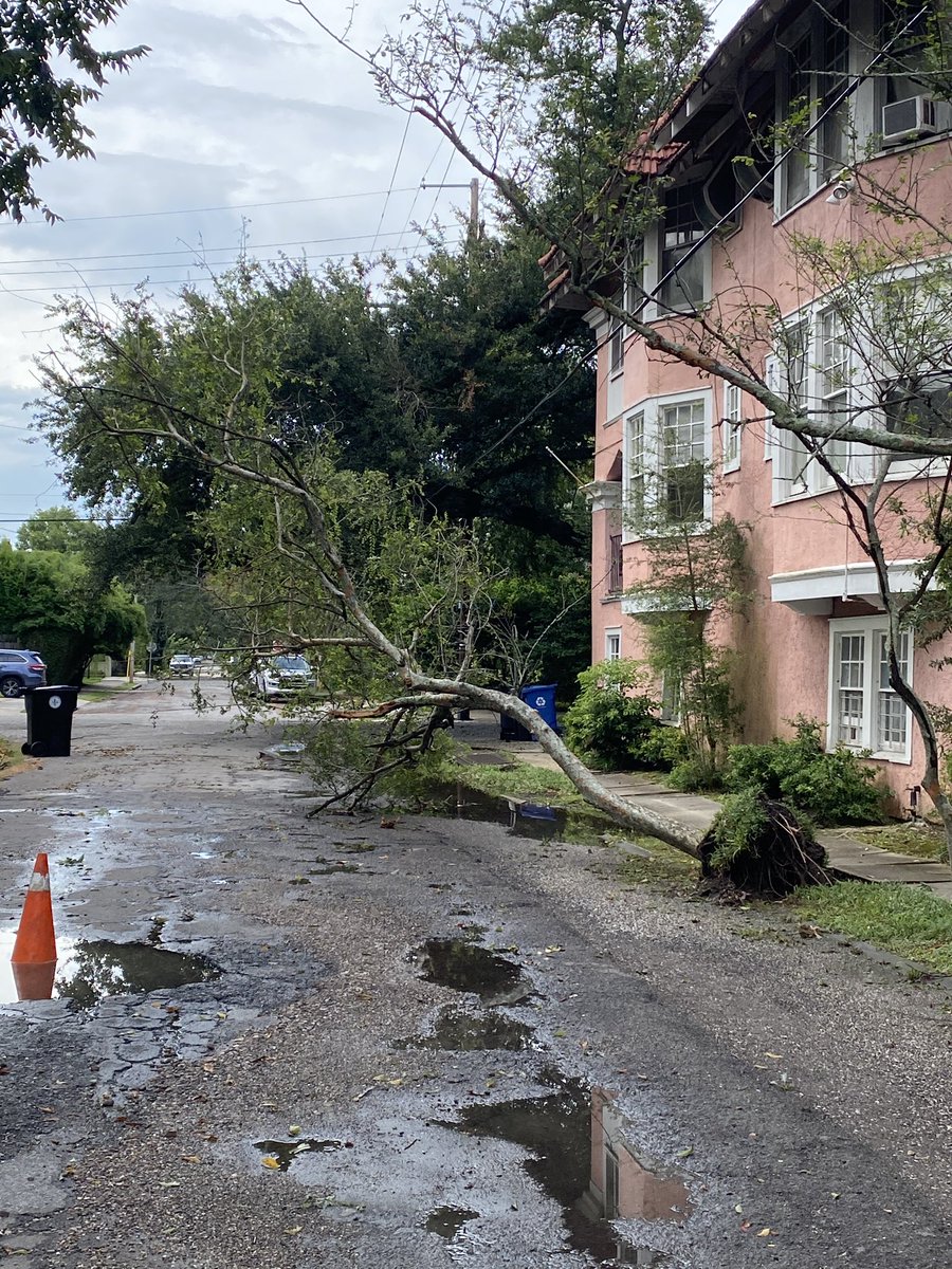 JonScottLutke's tweet photo. @paytonmalonewx @NWSNewOrleans No prob! Also small tree uprooted on Valmont St https://t.co/rCyczKksAP