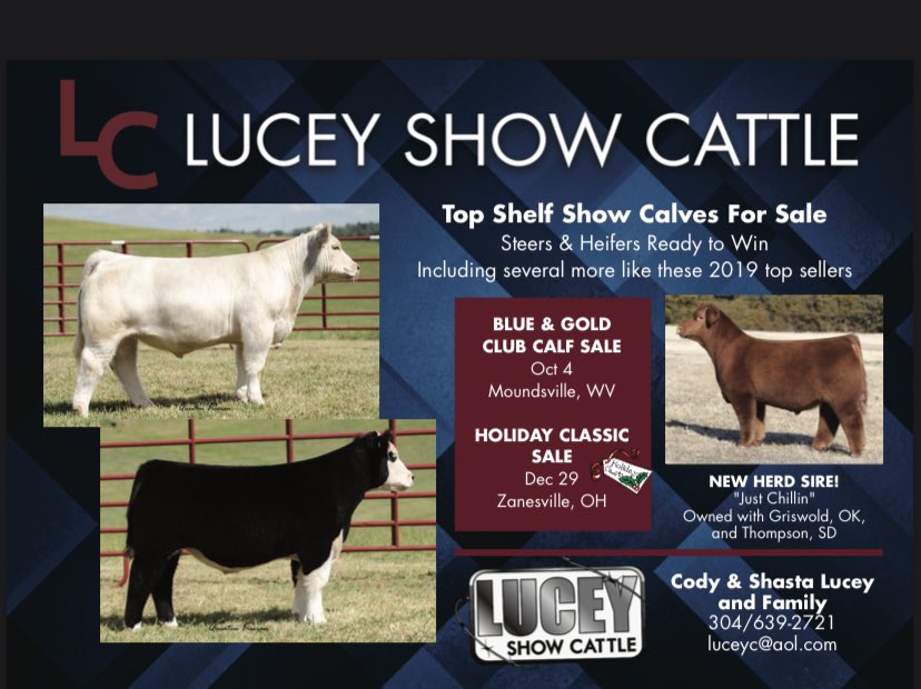 ptamn's tweet image. PrimeTIMEs on the newsstand now! #gitit #cattletwitter