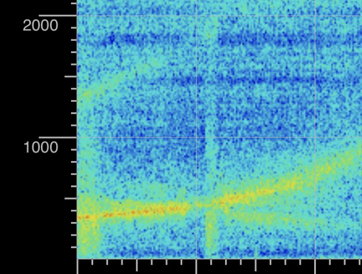 m@xi boch tweet media