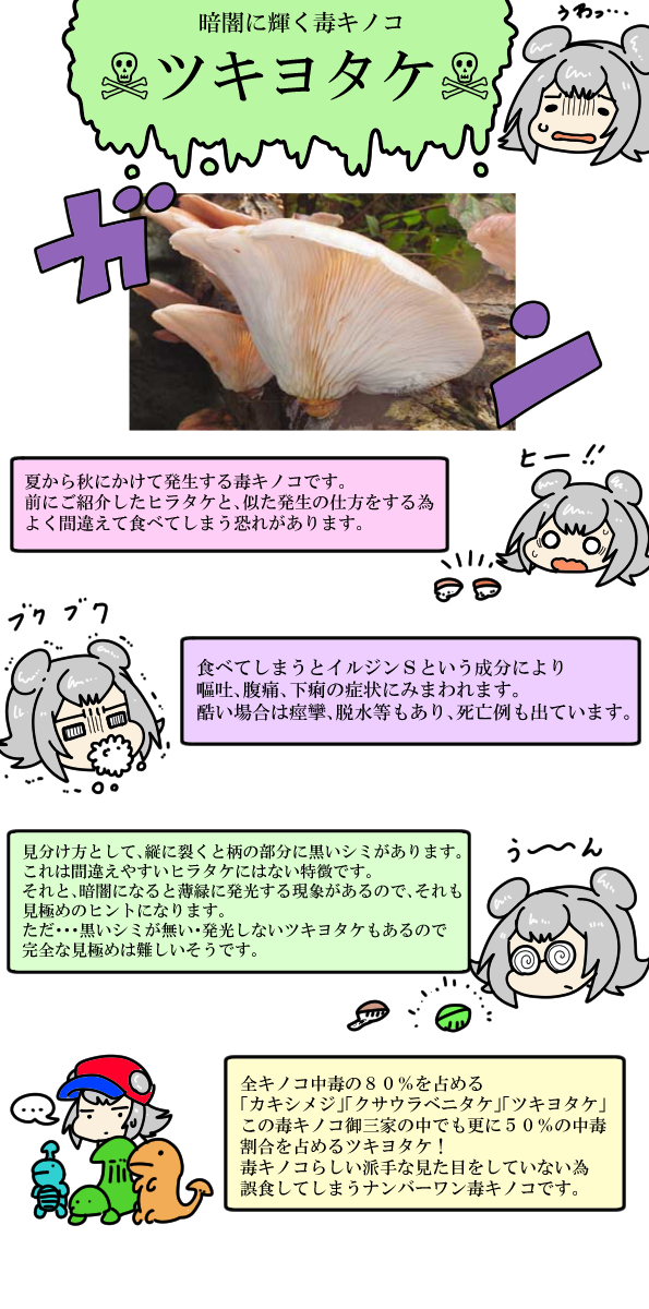 おはよう六花ちゃんのツキヨタケ(毒キノコ) 