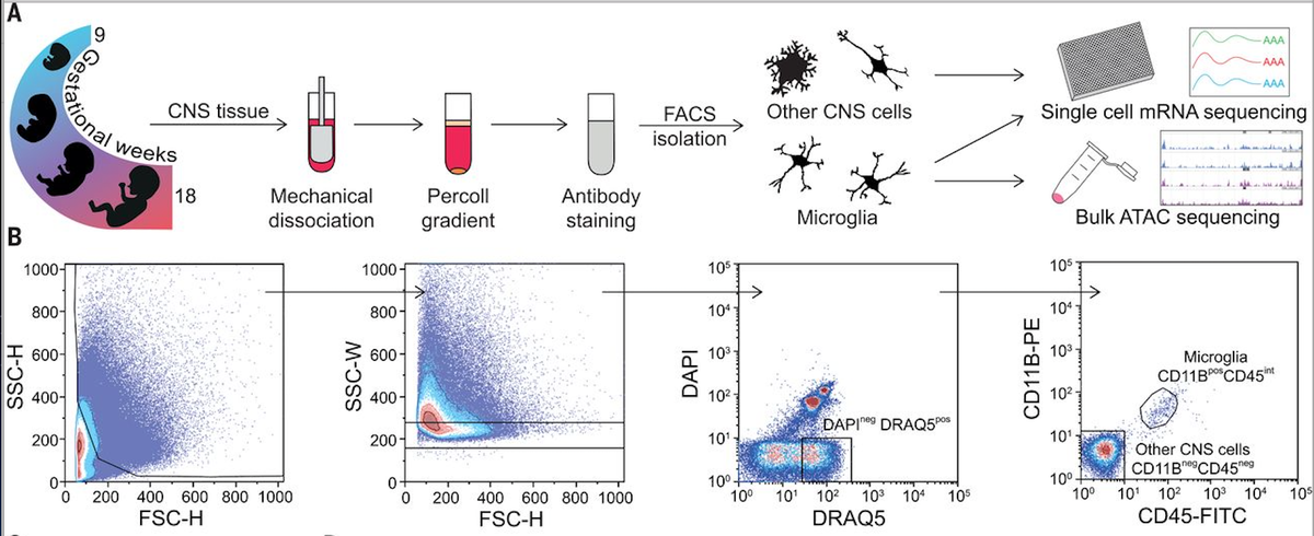 Ilia Vainchtein Iliavainchtein Twitter