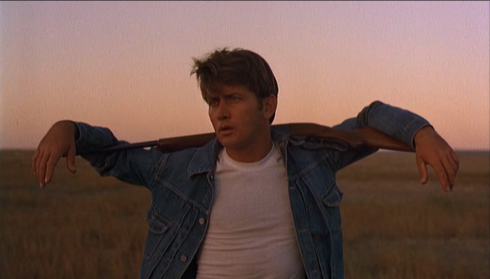 Cinegent tweet media